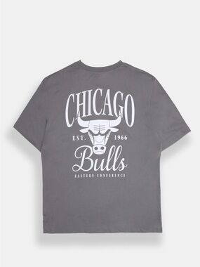 NBA Chicago Bulls Back Graphic Tee - Gray & White